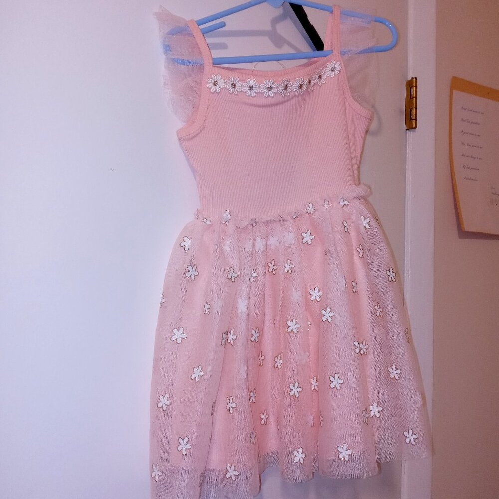 Little Lass Girls Beautiful Strawberry Cream Sleeveless Lining Tulle Dress 3 T